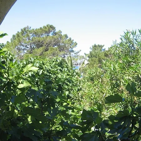 Palma Апартаменты