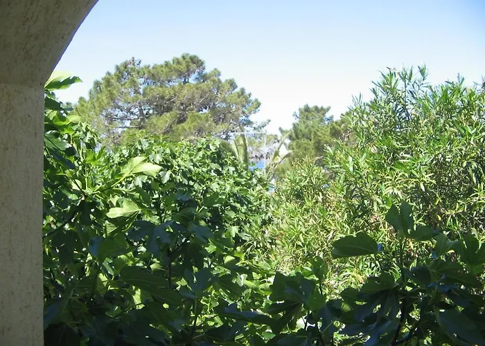 Palma Апартаменты